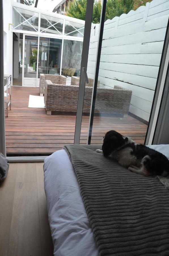 Cosy Refaite à Neuf Au Cœur De La Baule-Escoublac